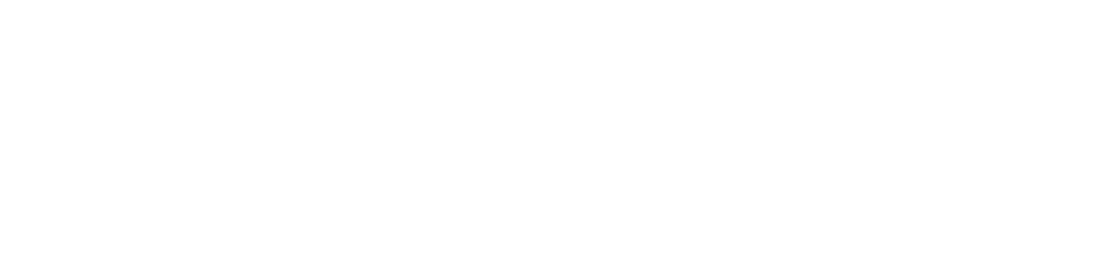 LinkLingo — Academia Digital de Idiomas